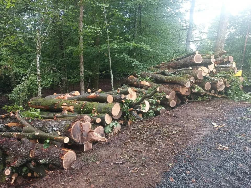 Våra Projekt - Bild 2